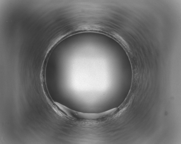 X0000073480893200608140813