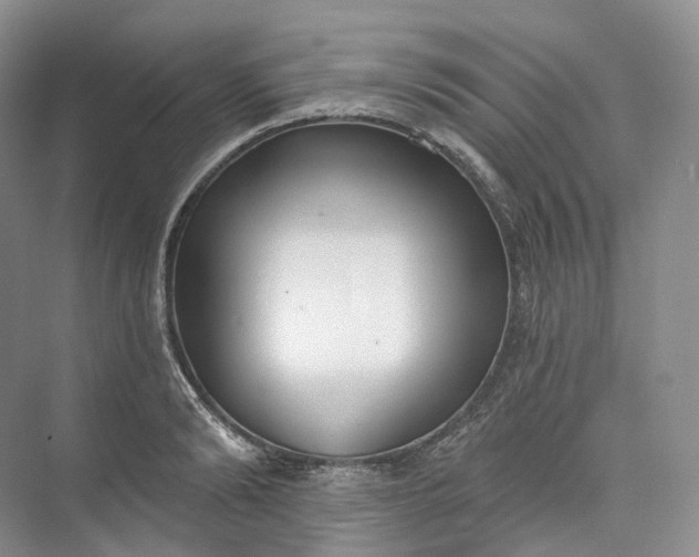 X0000073480894200608140813