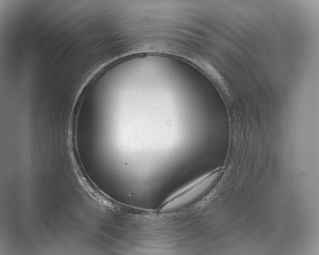 X0000073480896200608140813