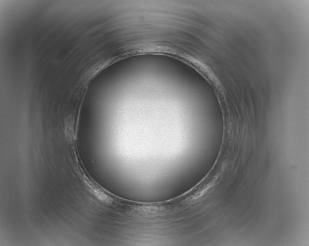 X0000073480897200608140813