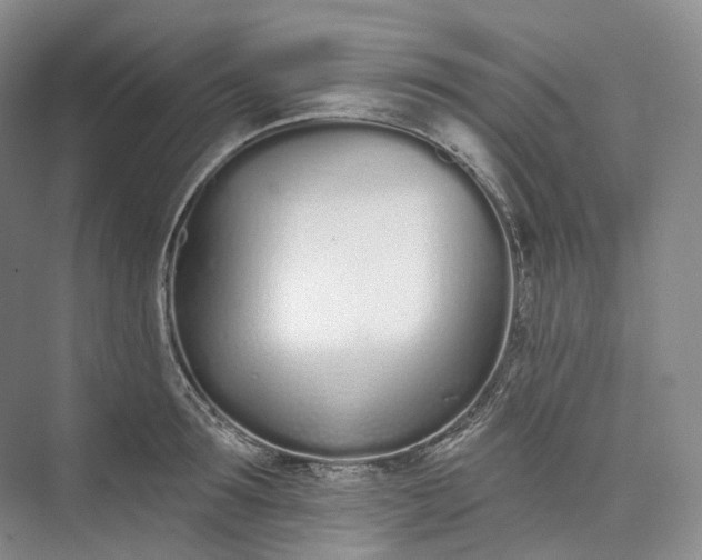 X0000073480899200608140813