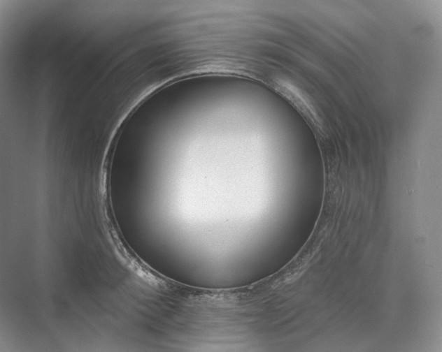 X0000073480900200608140813