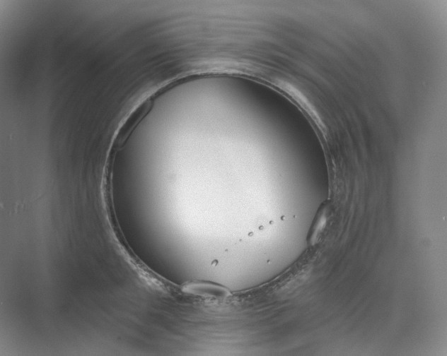 X0000073480901200608140813