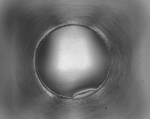 X0000073480902200608140813