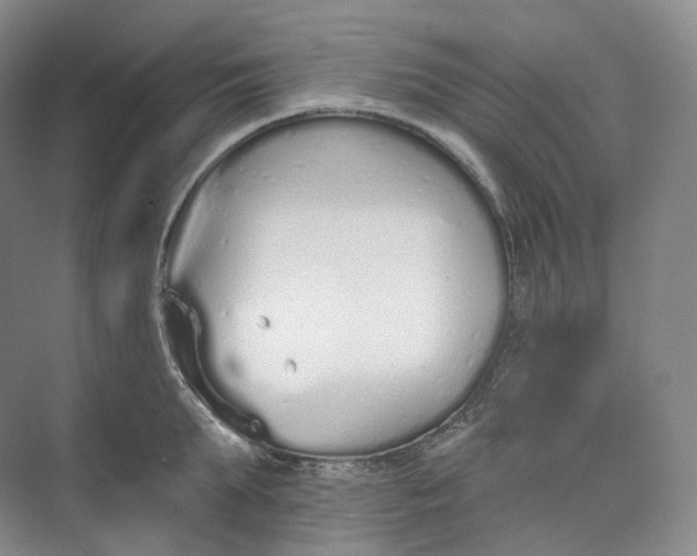 X0000073480903200608140813