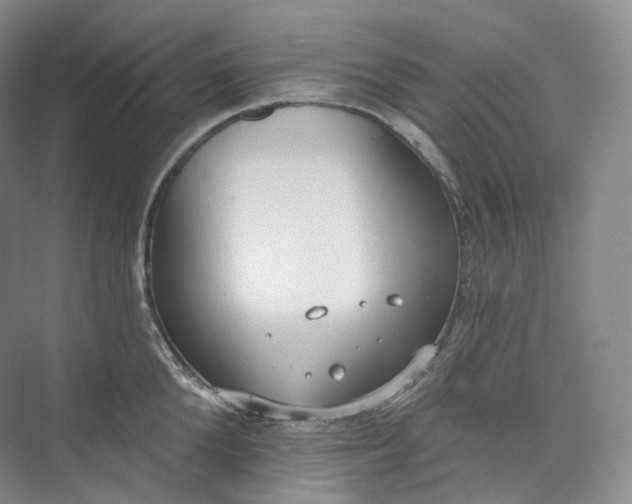 X0000073480904200608140813