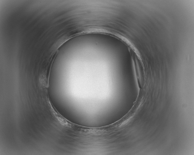 X0000073480905200608140813