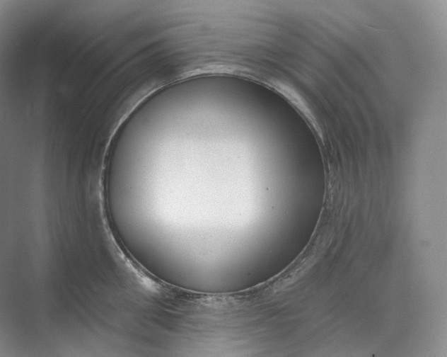 X0000073480906200608140813