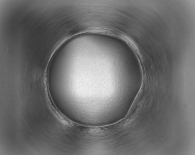 X0000073480907200608140813