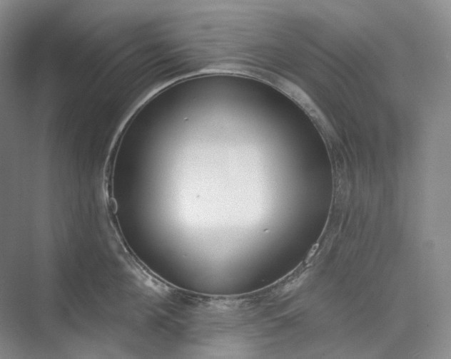 X0000073480908200608140813