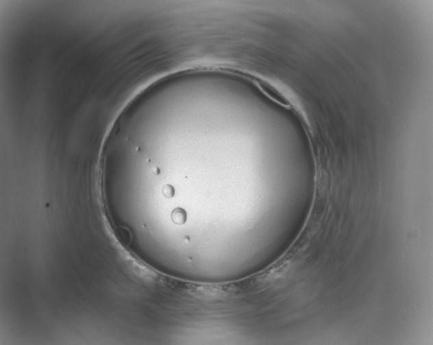 X0000073480911200608140813