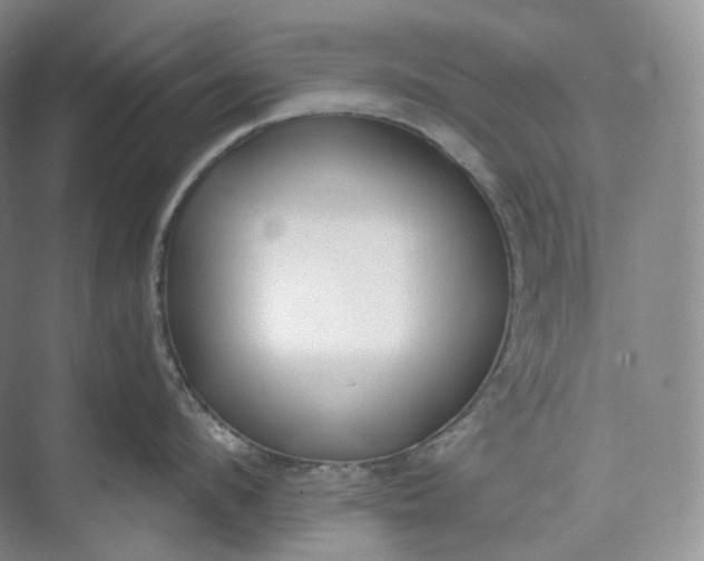 X0000073480912200608140813