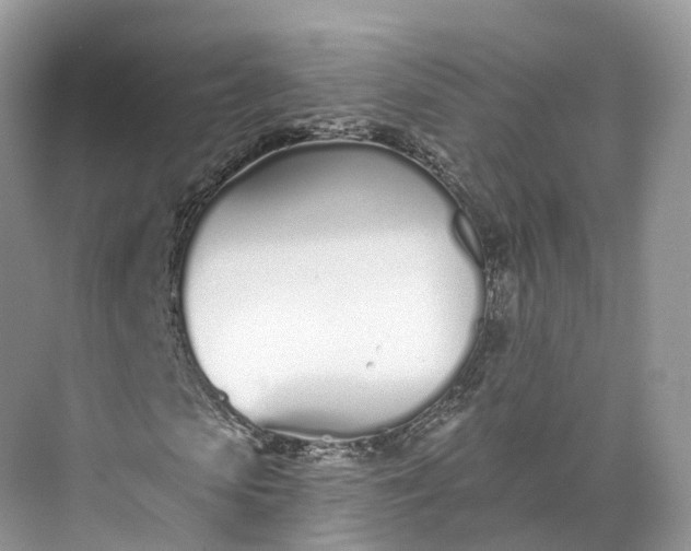 X0000073480913200608140812