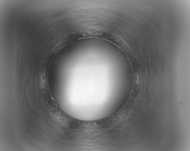 X0000073480915200608140812