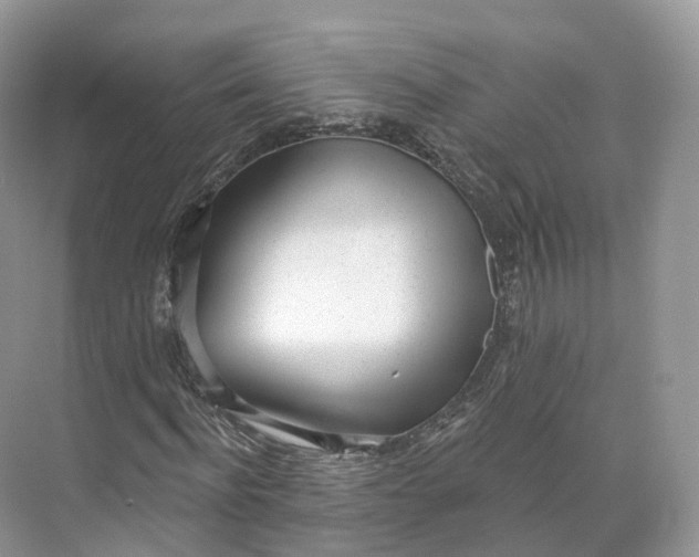 X0000073480916200608140812