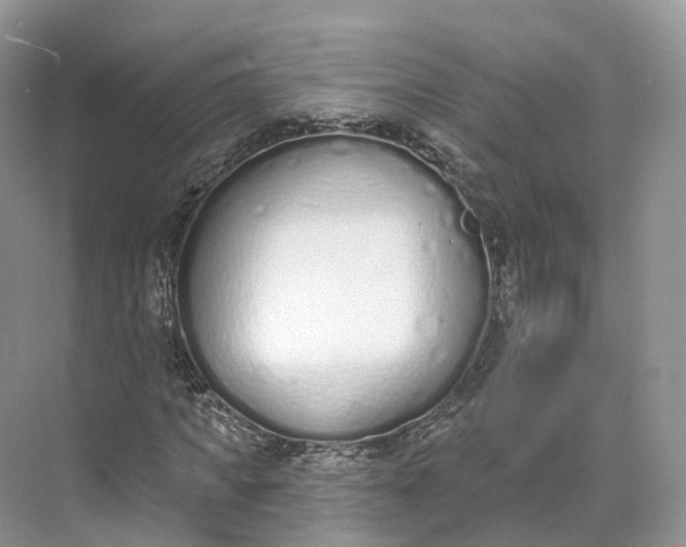 X0000073480917200608140812