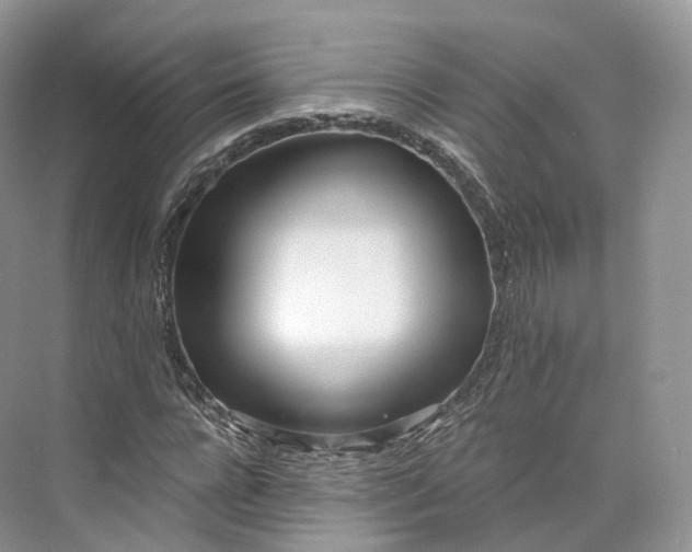 X0000073480920200608140812