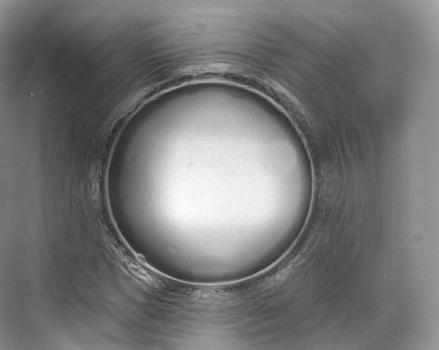 X0000073480921200608140812