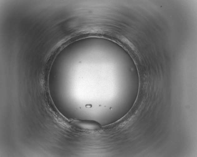 X0000073480922200608140812