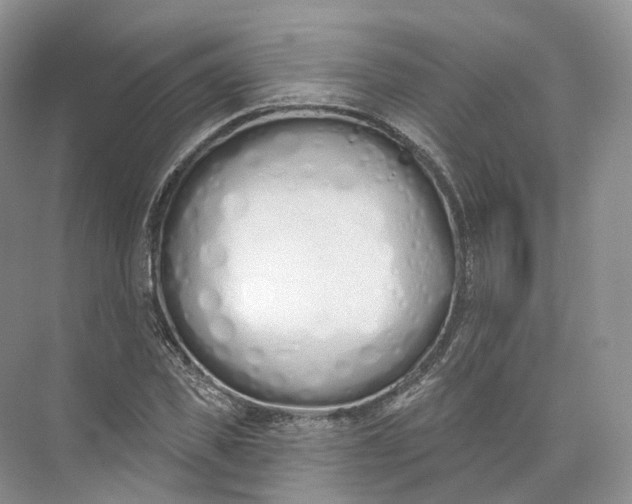 X0000073480925200608140812