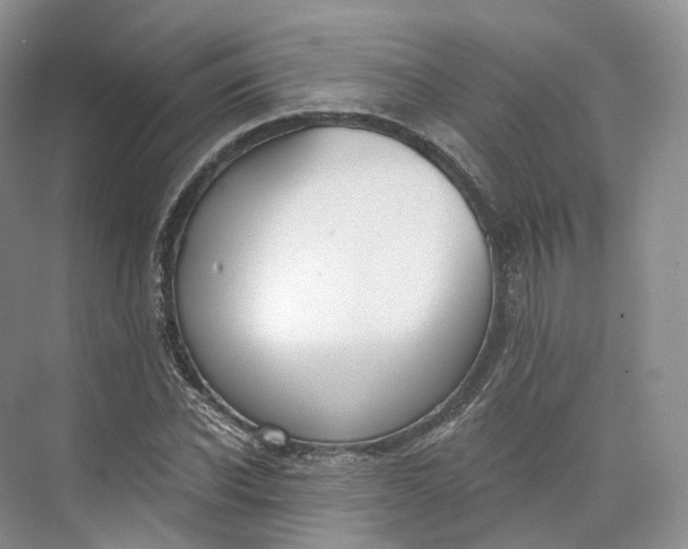 X0000073480926200608140812