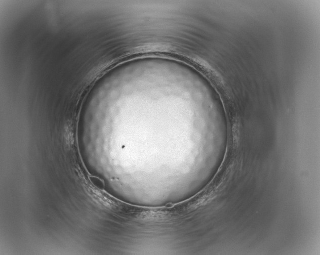 X0000073480929200608140812