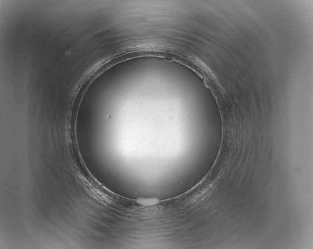 X0000073480930200608140812