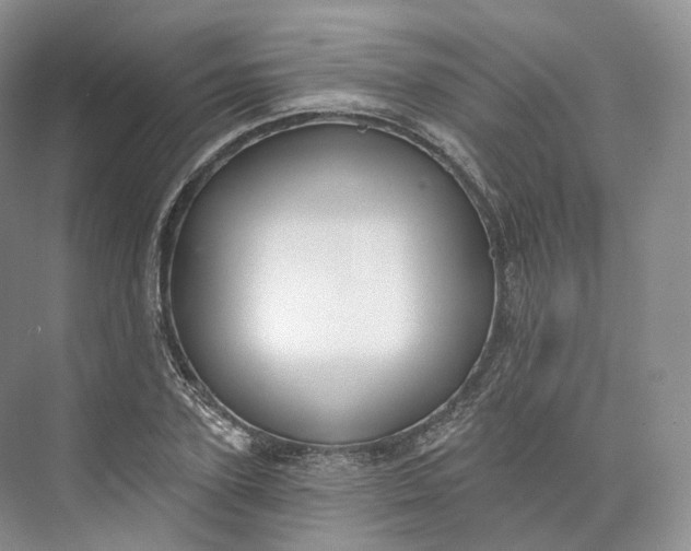 X0000073480931200608140812