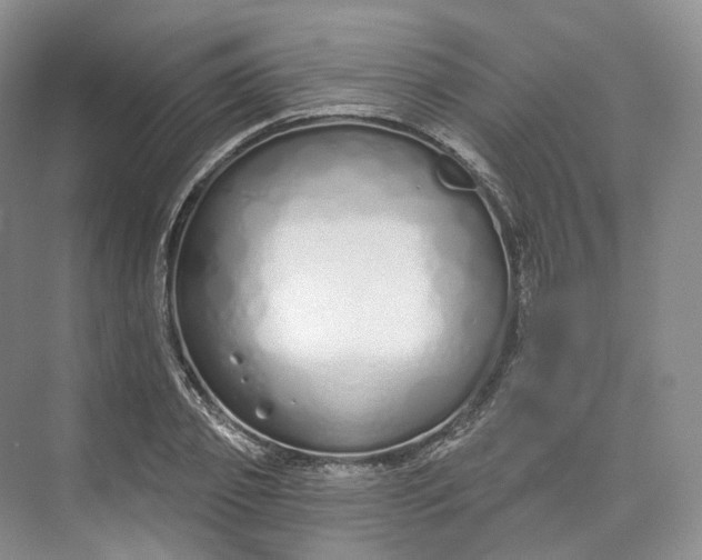 X0000073480933200608140812