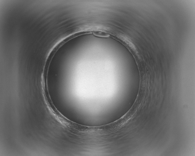 X0000073480936200608140812