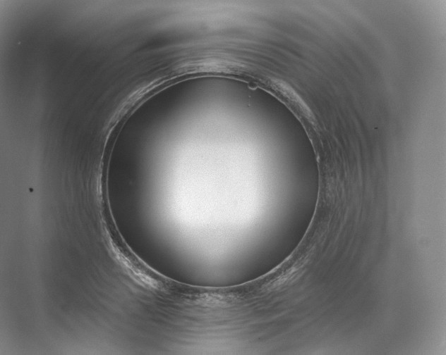 X0000073480938200608140812