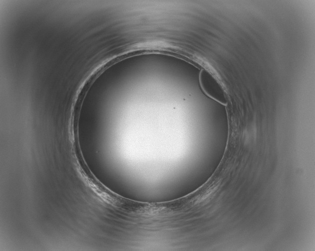 X0000073480939200608140812