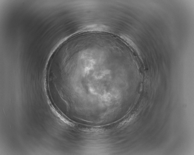 X0000073480941200608140812