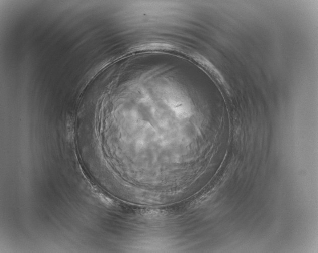 X0000073480945200608140812