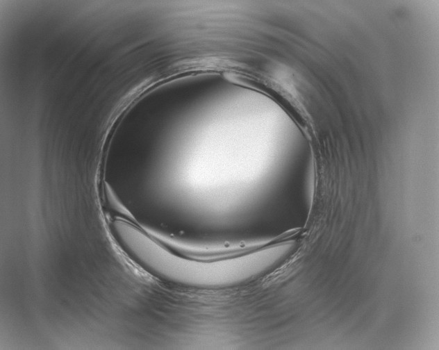 X0000073480946200608140813