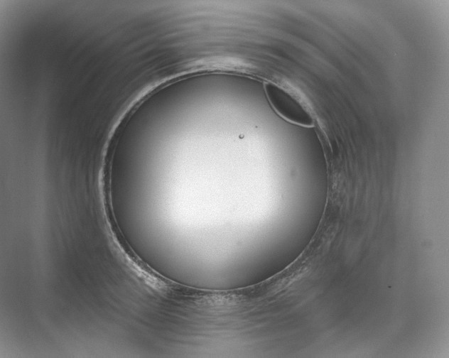 X0000073480947200608140813