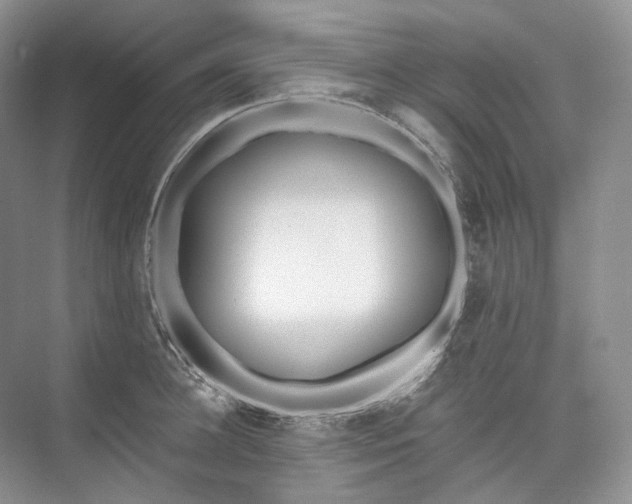 X0000073480948200608140813