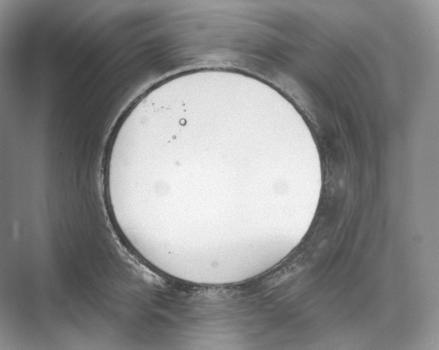 X0000073480950200608140813