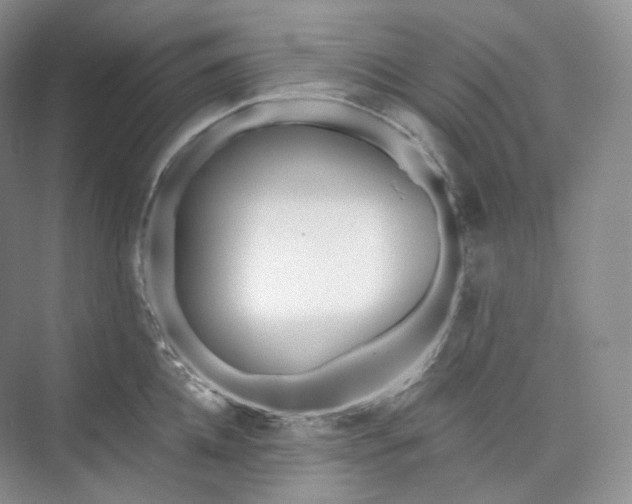 X0000073480952200608140813