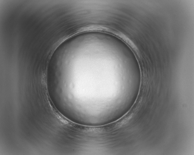 X0000073480953200608140813