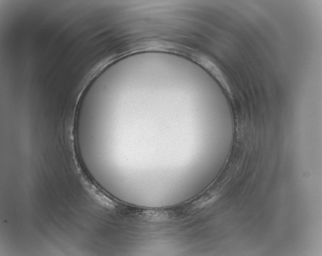 X0000073480954200608140813