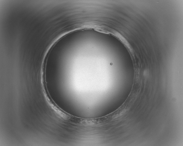 X0000073480955200608140813