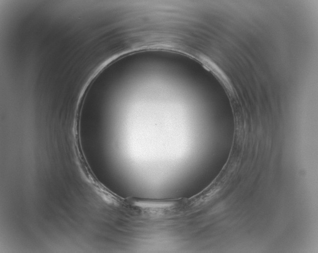 X0000073480956200608140813