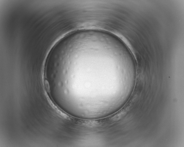 X0000073480957200608140813