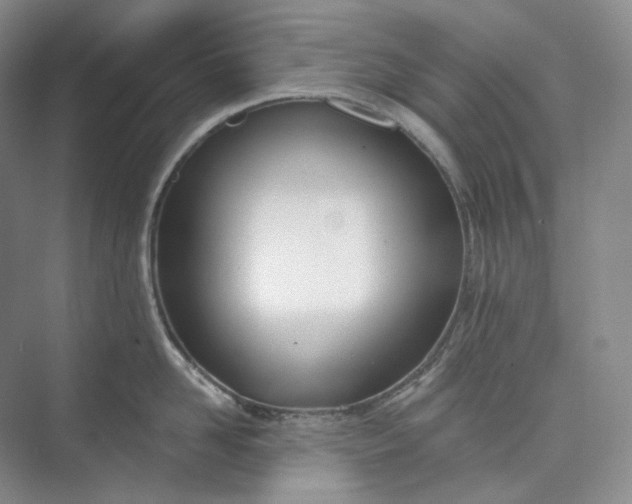 X0000073480958200608140813