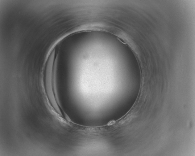 X0000073480960200608140813