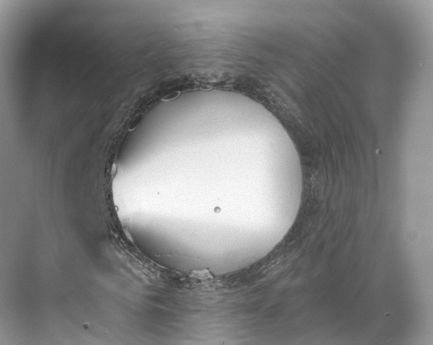 X0000073480961200608140812