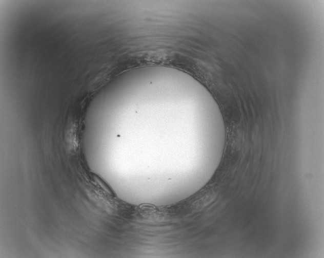 X0000073480962200608140812