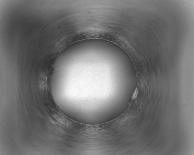 X0000073480964200608140812