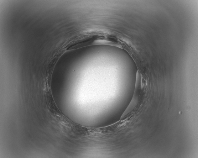 X0000073480965200608140812